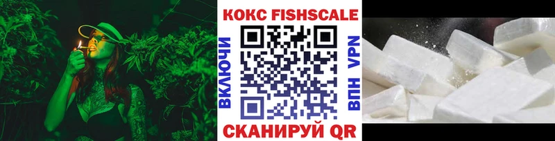 Купить закладки  Зарайск  COCAIN Эквадор 